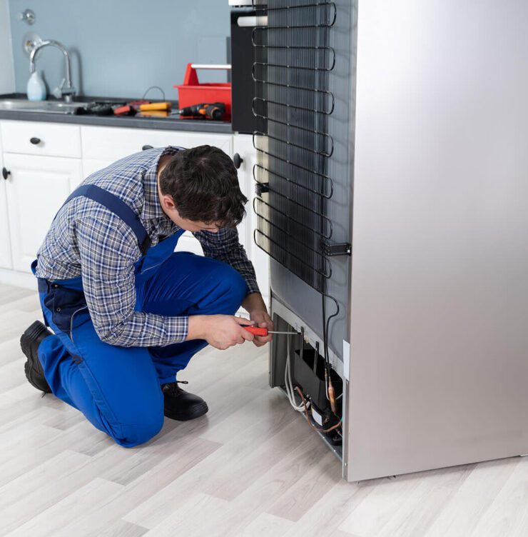 Manutenção de refrigerador Brastemp 2 Alto da Lapa